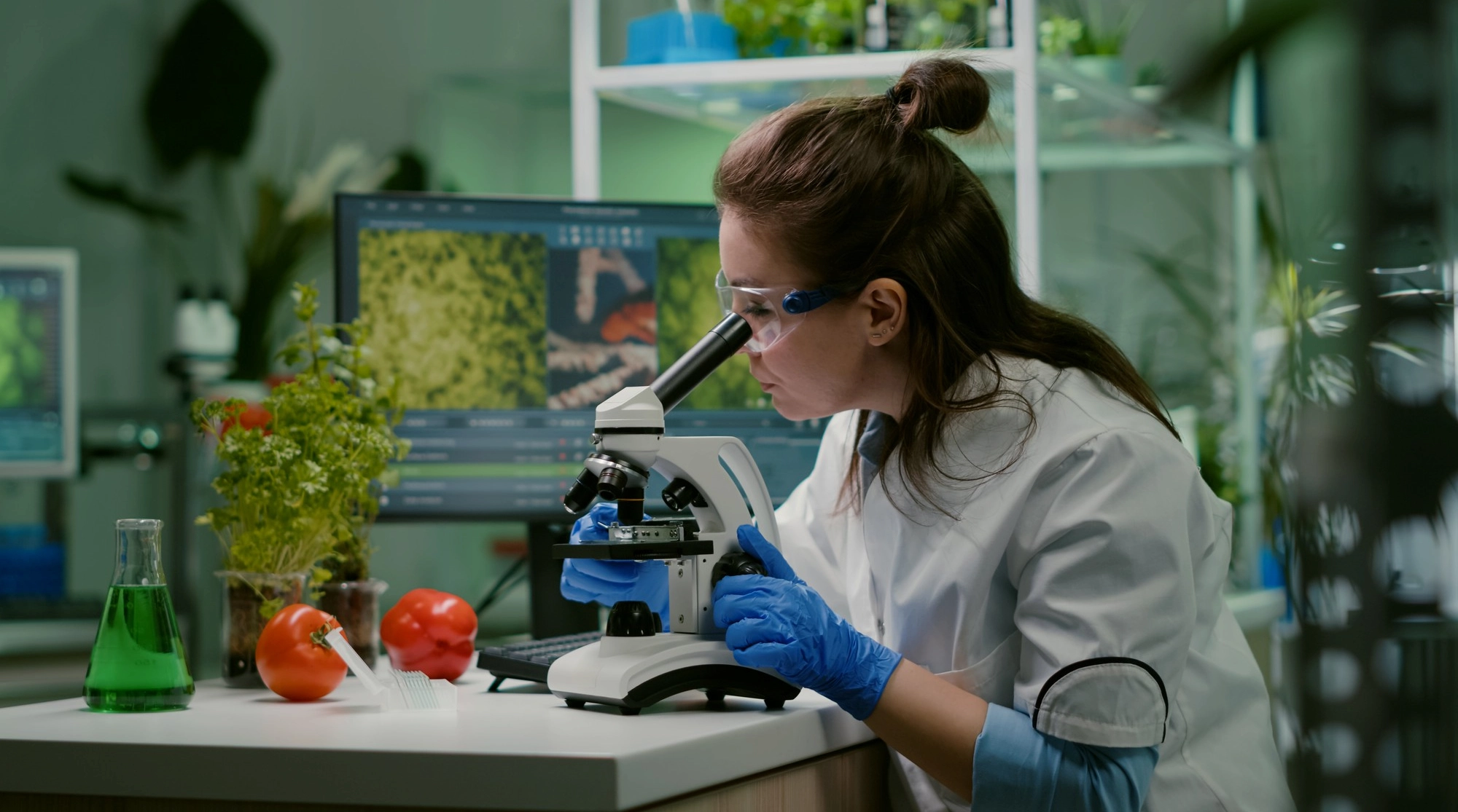 Aplicaciones de la biotecnología en medicina, alimentos y medio ambiente
