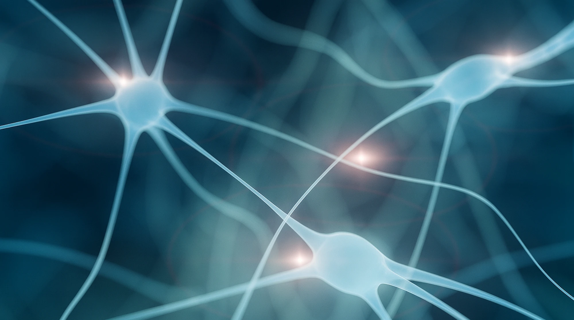 Ilustración de una red neuronal con conexiones activas en el cerebro humano