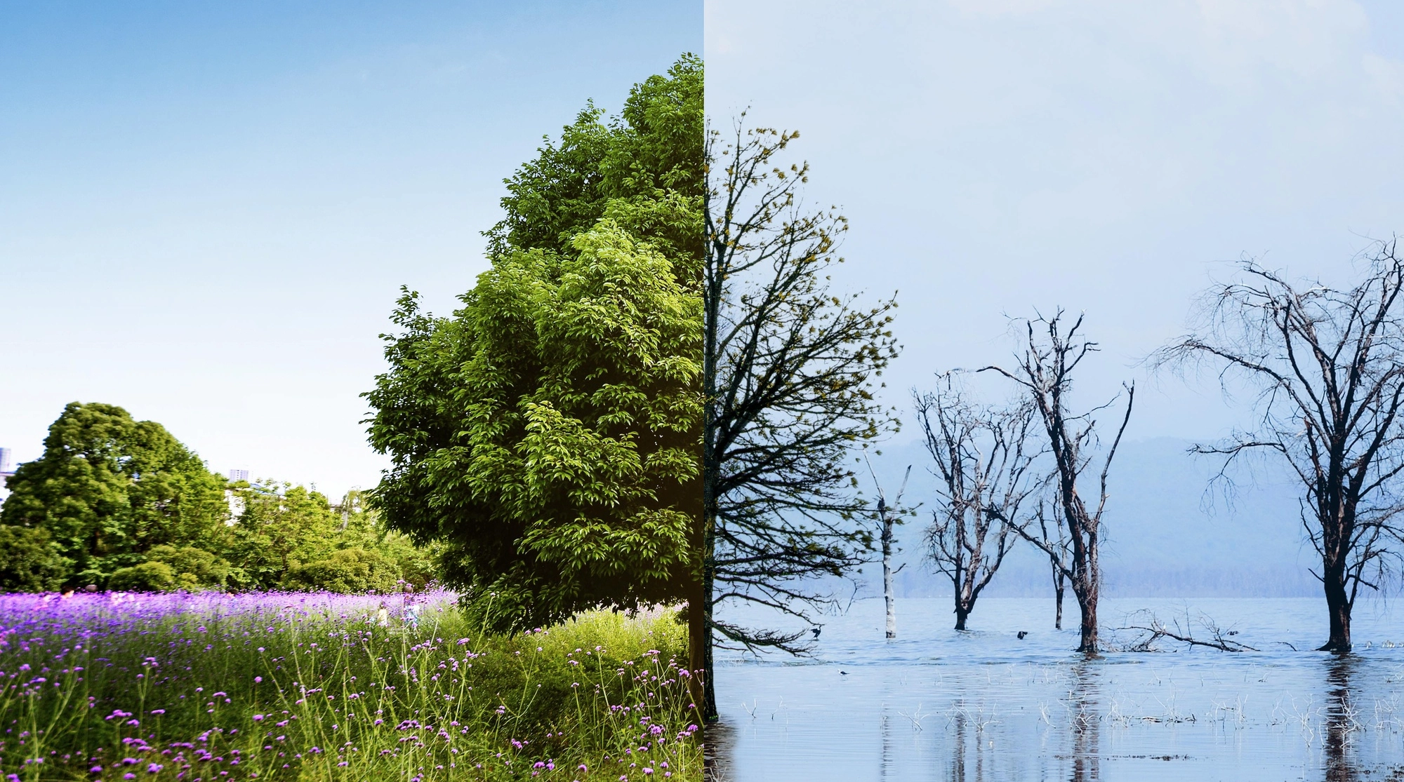 Contraste entre un ecosistema saludable y un paisaje afectado por el cambio climático